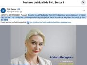 PNL Sector 1 se dezice de liberala în cătușe