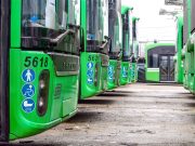 Le-a luat „fotosinteza” mințile…