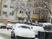 Când lenea e cucoană mare