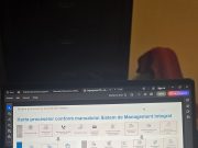 250 de economiști, 200 de șefi, un oraș captiv, un primar și povești cu „rinoceri”