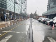 Dorel și „minunea cu moț” din Pipera