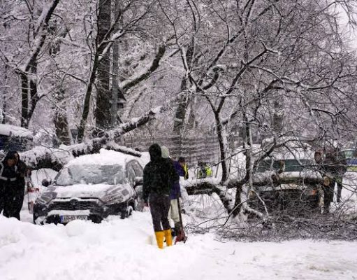 Sute de mașini avariate de copaci rupți sau țurțuri, în București
