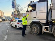 Ciucu: „Bucureștiul nu mai poate funcționa ca un sat fără câini”