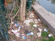 Ce-a mai descoperit Primăria București: „Mare mizerie pe malul Dâmboviței!”