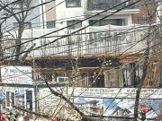 Copac prăbușit peste o mașină, acuzații la adresa autorităților: „Au venit repede să șteargă urmele”