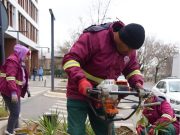 Ce urmează să se planteze pe spațiile verzi din sectorul 3