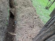 Intervenții ilegale și distrugeri în parcurile Capitalei. Primăria anunță sancțiuni dure