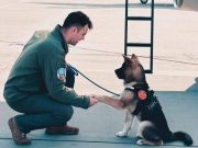 Povestea pilotului care a murit încercând să salveze un câine