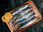 Cel mai mare Festival Pescăresc din Capitală