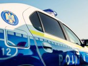 Percheziții în patru județe într-un dosar de eutanasiere ilegală a câinilor fără stăpân