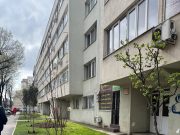 Primarul Sectorului 2 promite un bulevard al magnoliilor. Bucureştenii îl cheamă și în spatele blocurilor!