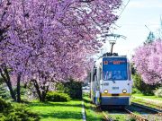 Programul de Paște al mijloacelor de transport în comun