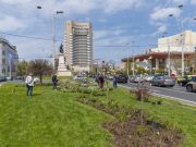 Sute de plante și arbuști ornamentali, plantați în kilometrul zero al Bucureștiului
