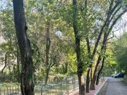 Urbanism încâlcit în Sectorul 3: trotuar „cu obstacole” sau noul test pentru pietoni?