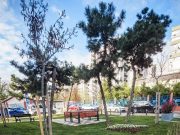 Parc lăsat în paragină, adus la „lumină”