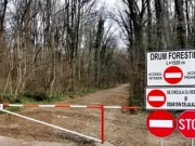 Decizie! Fără mașini în pădurea Băneasa
