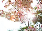 Când se încălzește vremea